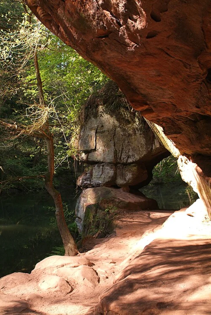 An image depicting the trail Schwarzach and Ludwig Donau Main Kanal Loop and its surrounding area.
