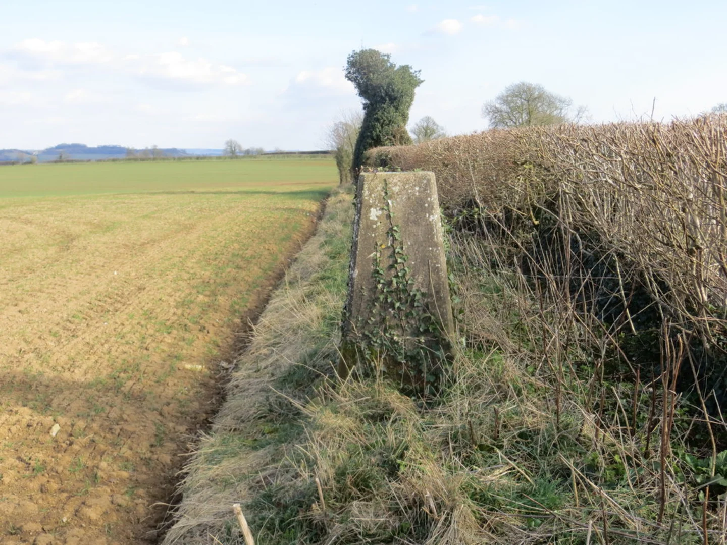 An image depicting the trail Pennard Hill from Pylle and its surrounding area.
