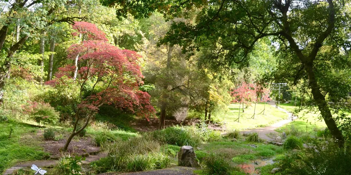 Dalzell Estate and Baron's Haugh near Motherwell