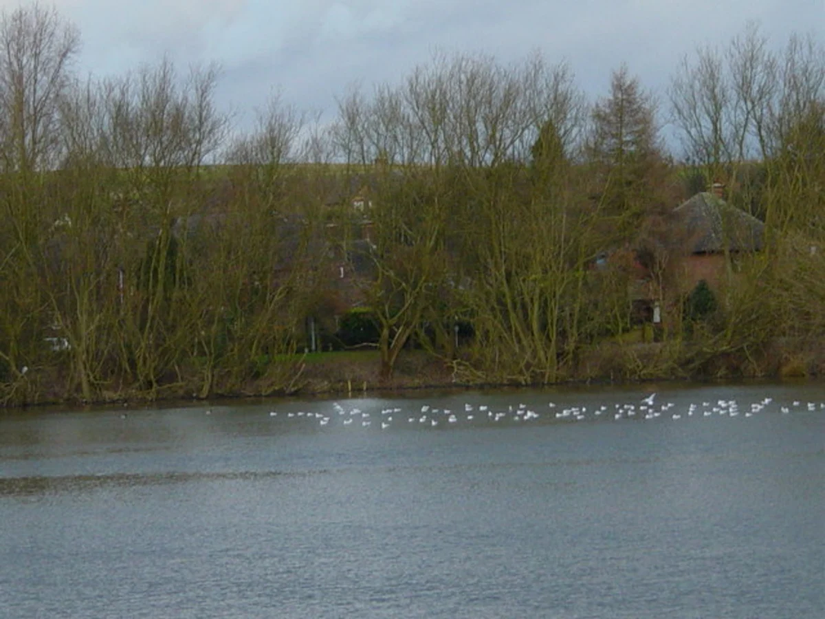 Ercall Wood, Horsehay Pool and Little Wenlock Park Loop
