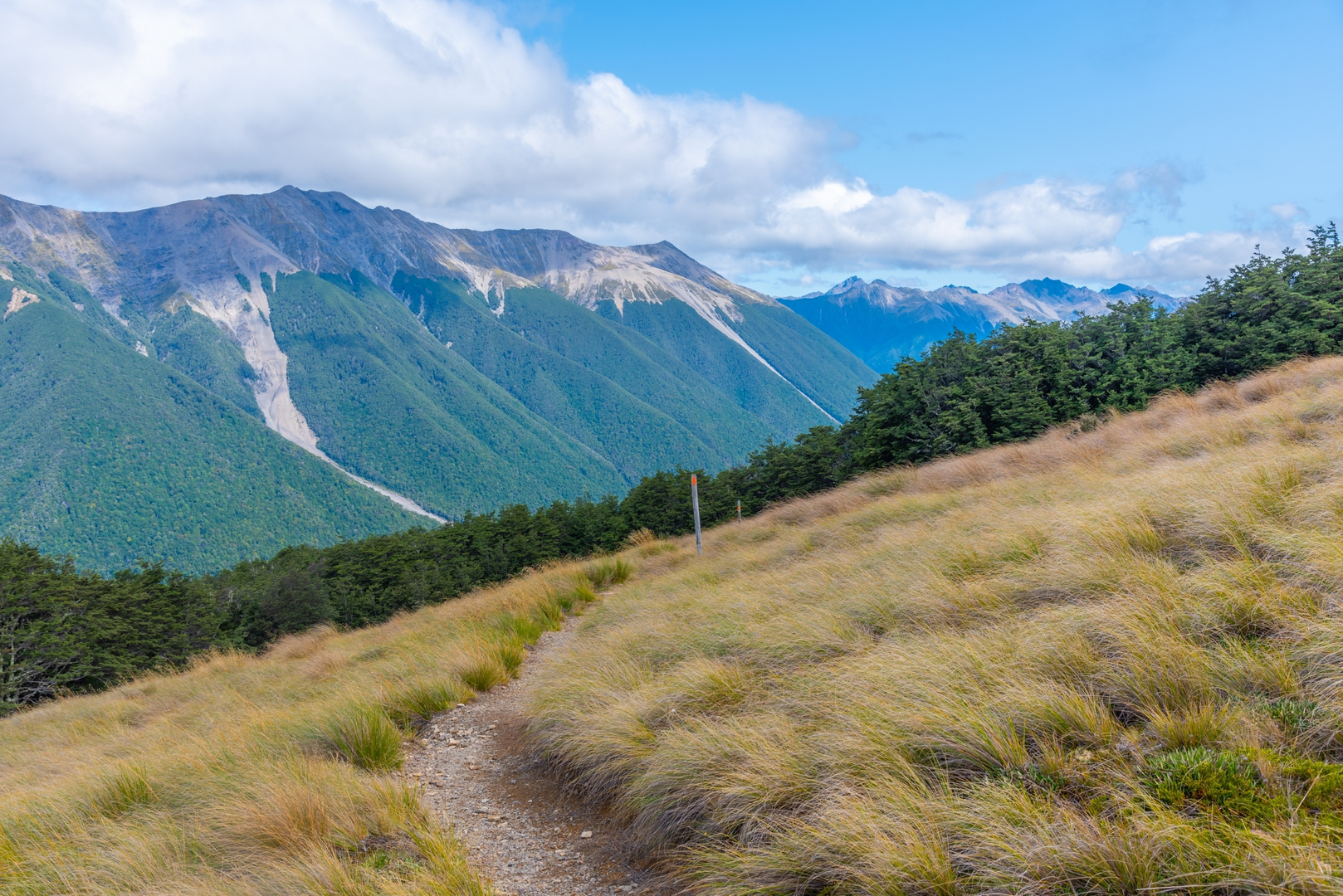 An image depicting the trail St Arnaud Range Track and its surrounding area.