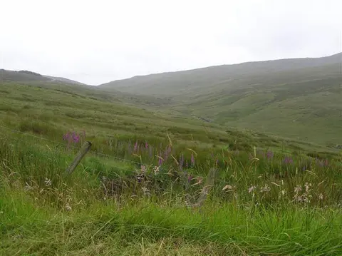 An image depicting the trail Barnes Top and Knockanbane Top Loop and its surrounding area.