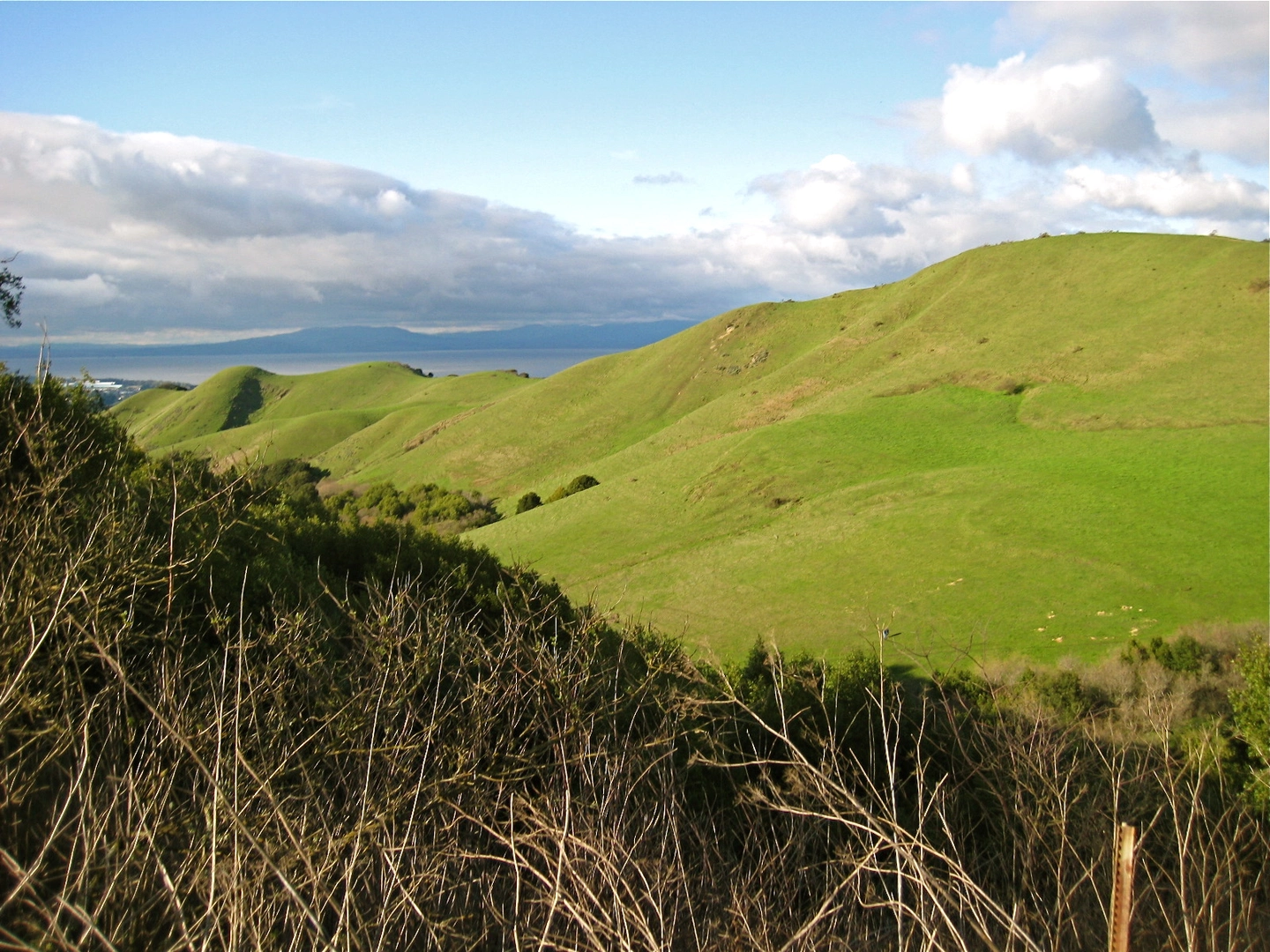 An image depicting the trail Clark Boas, San Pablo Ridge and Wildcat Creek Loop Trail and its surrounding area.