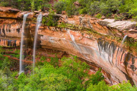 An image depicting the trail Lower Emerald Pool Trail and its surrounding area.