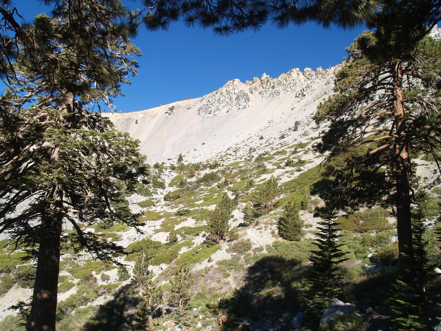 An image depicting the trail Baldy Bowl Trail and its surrounding area.
