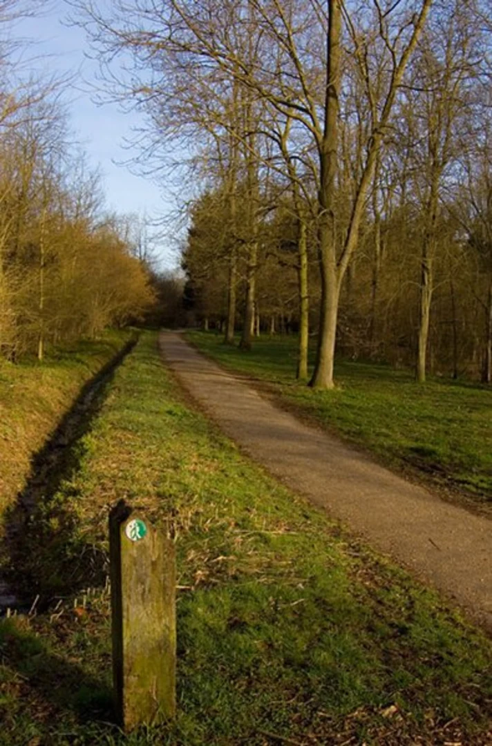 An image depicting the trail Linton's Wood and The Hangings Loop and its surrounding area.