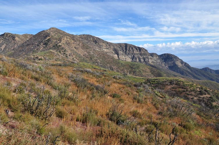 Lion Canyon Trail and Red Reef Trail