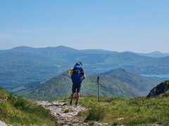 Steve phillips avatar