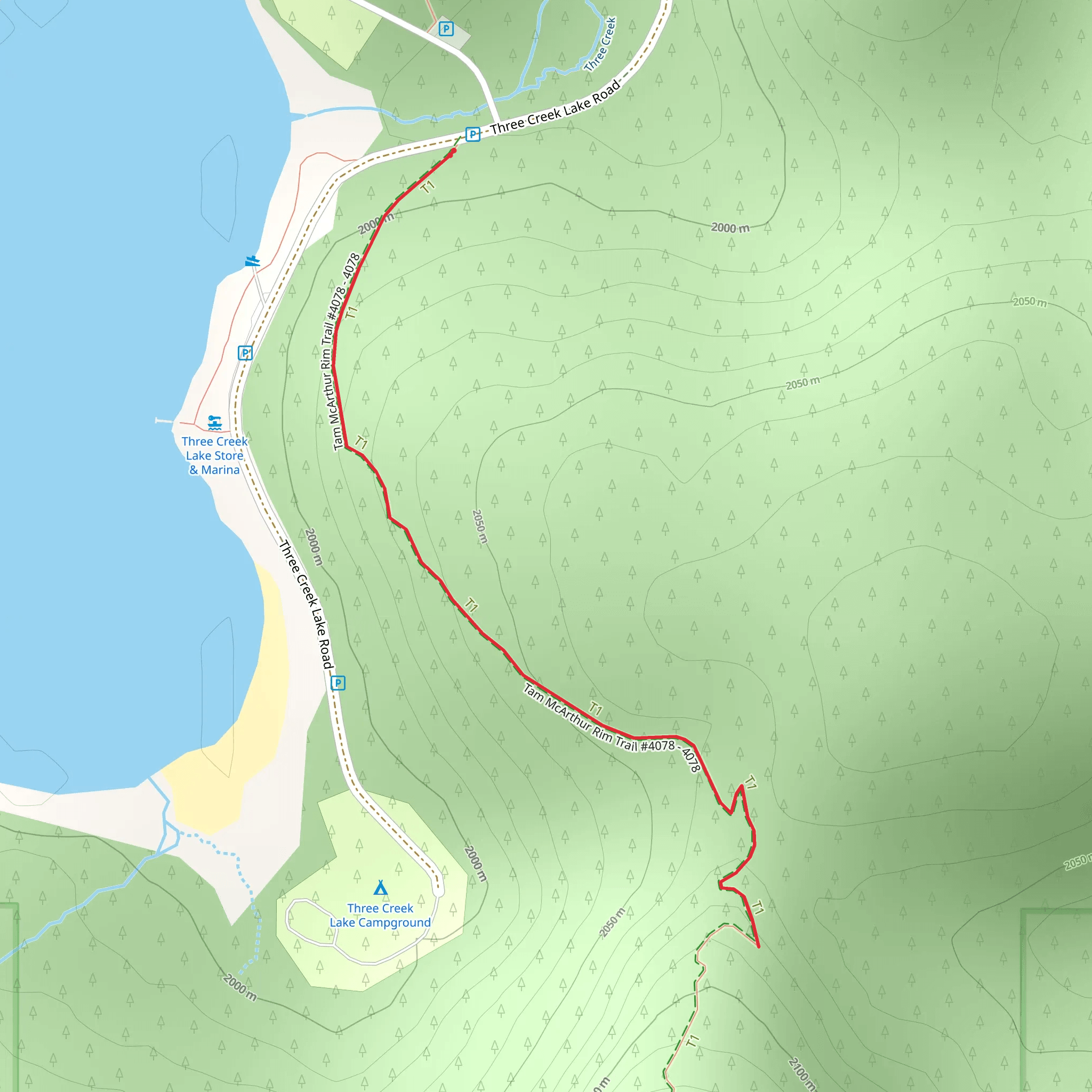 Tam McArthur Rim Trail Out and Back mobile static map