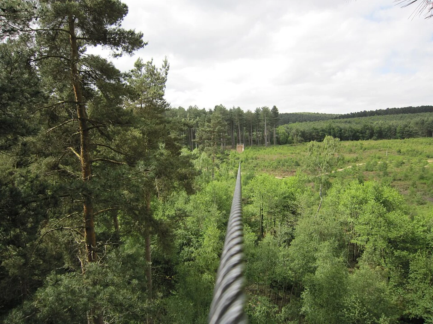 An image depicting the trail Go Ape and New Parks Loop and its surrounding area.