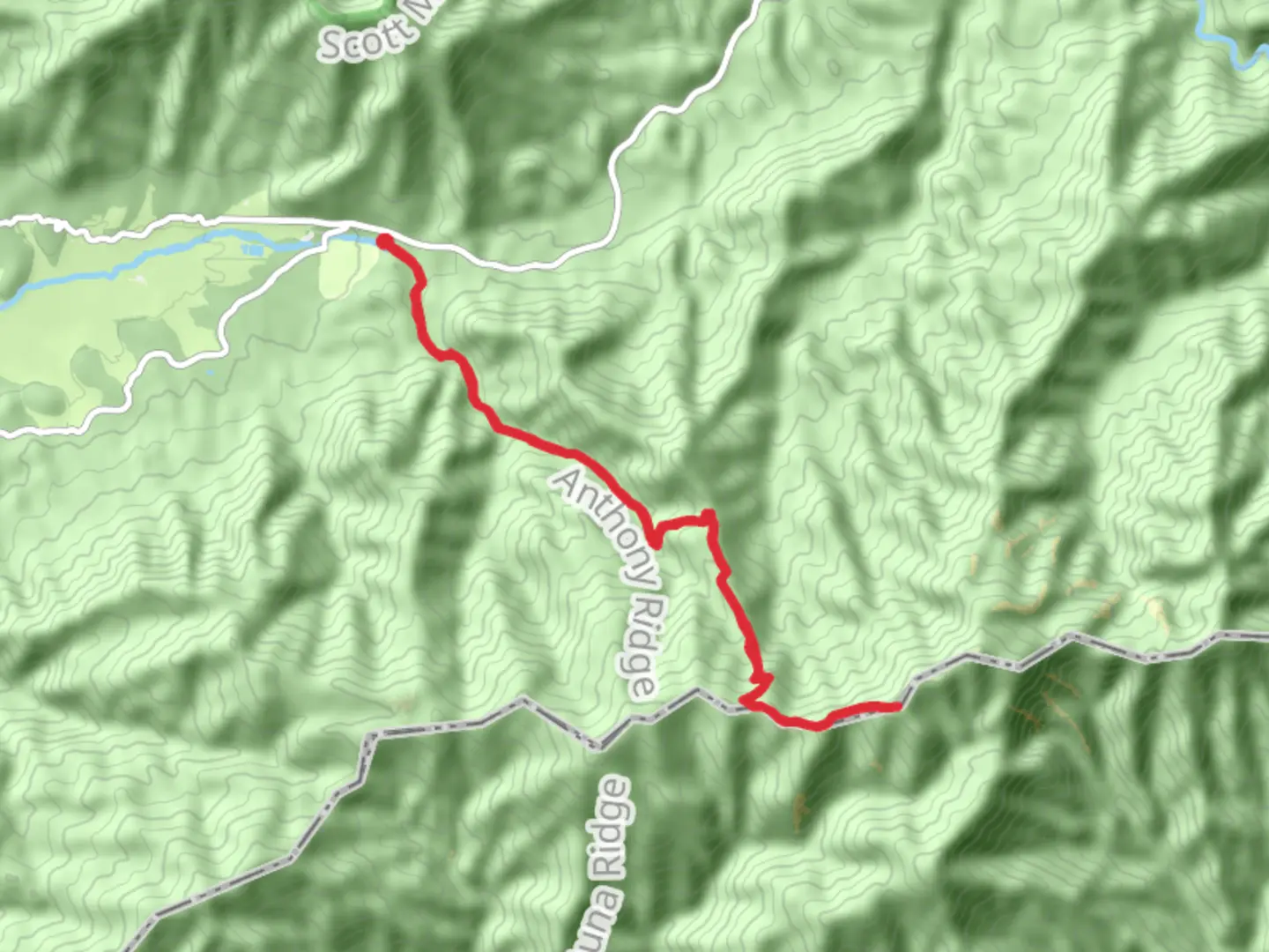 An image depicting the trail Rocky Top via Anthony Creek Trail and its surrounding area.