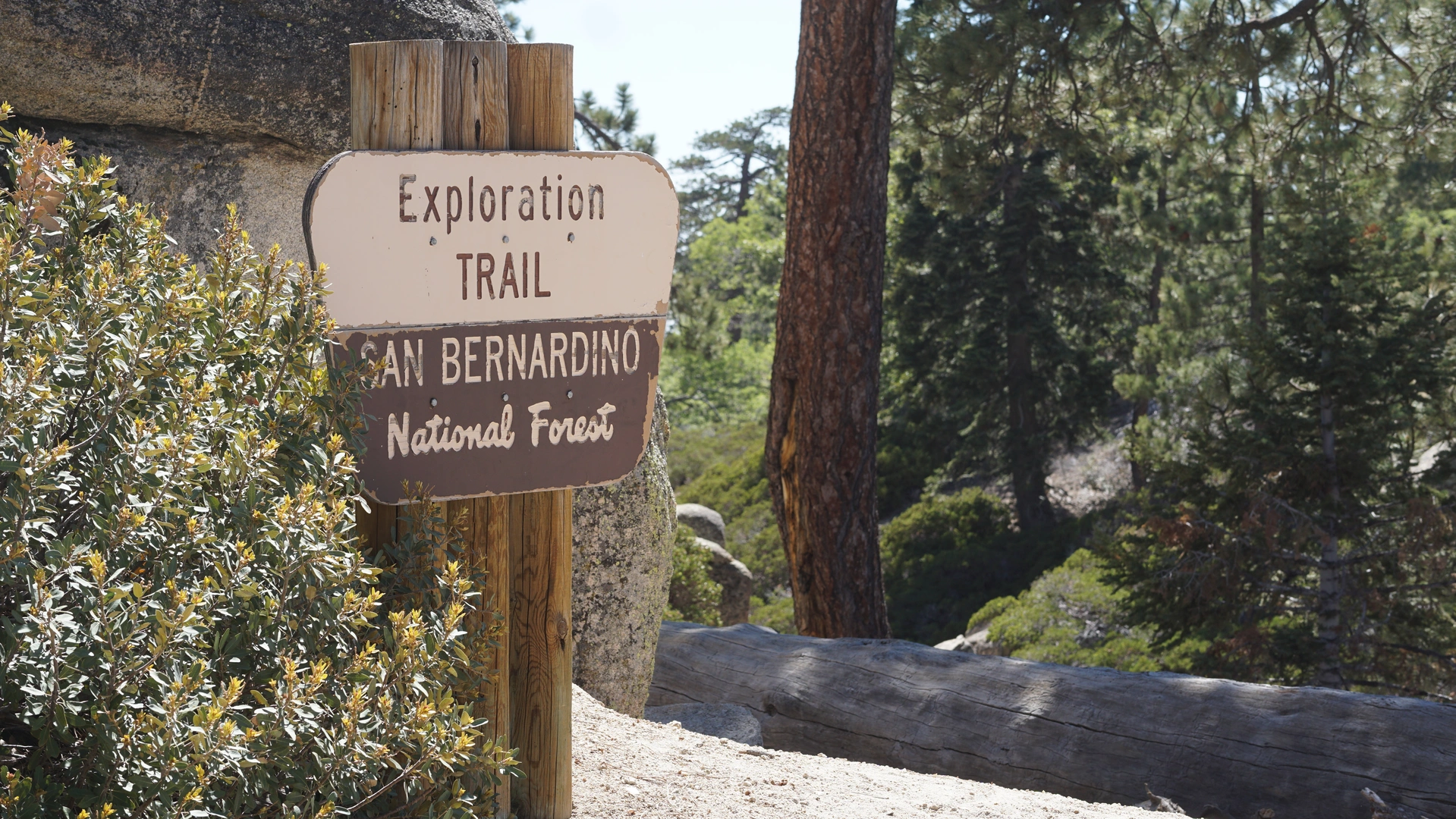 An image depicting the trail Snow Valley Lake Loop and its surrounding area.
