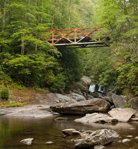An image depicting the trail Chattooga River Trail and its surrounding area.