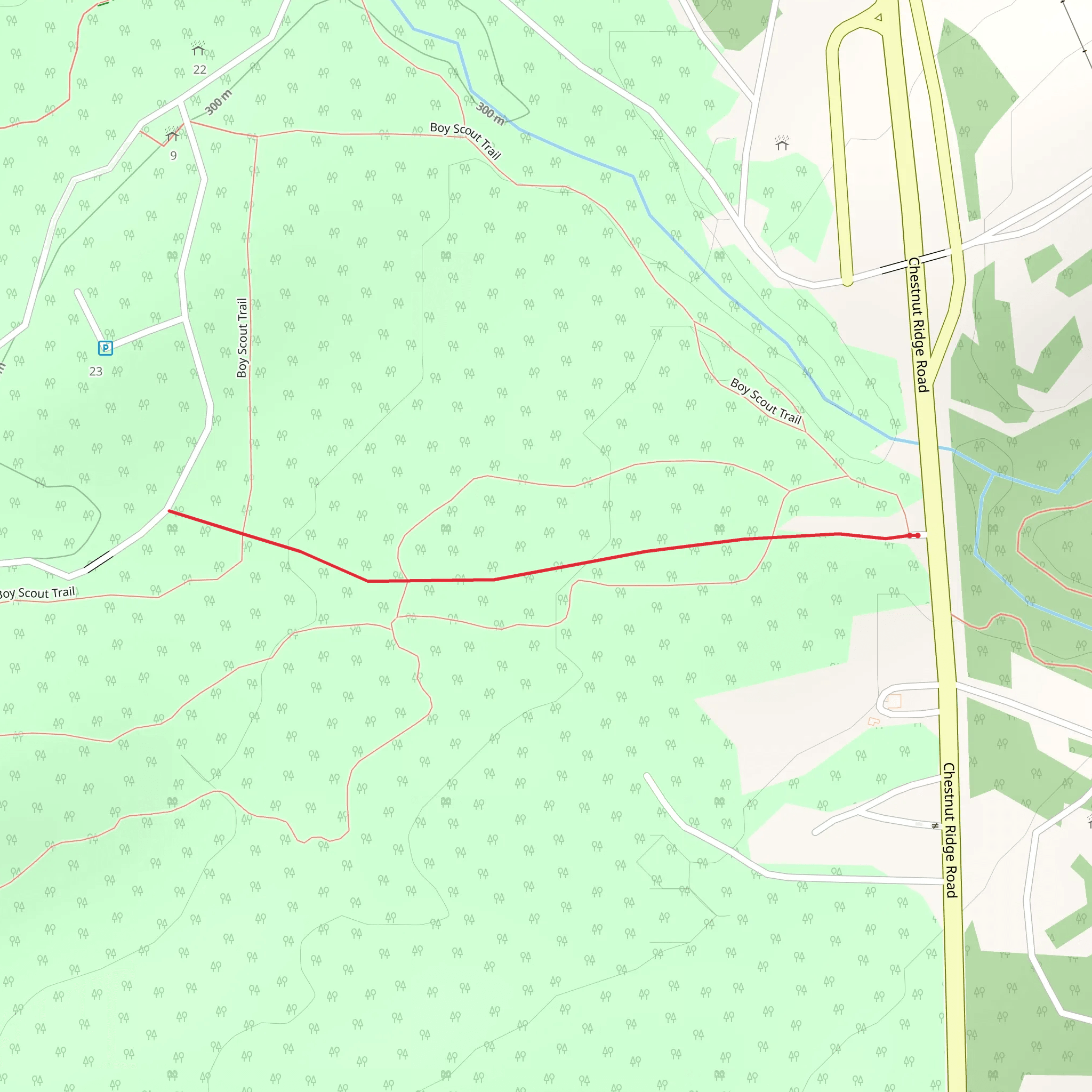 Chestnut Ridge Road Trail mobile static map