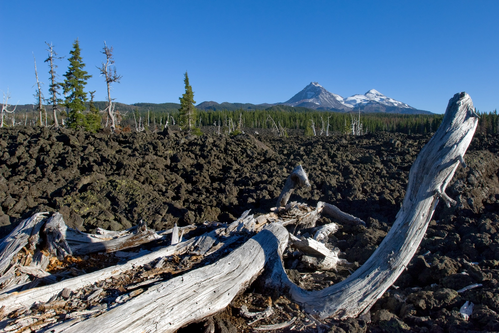An image depicting the trail Three Sisters Loop Trail and its surrounding area.