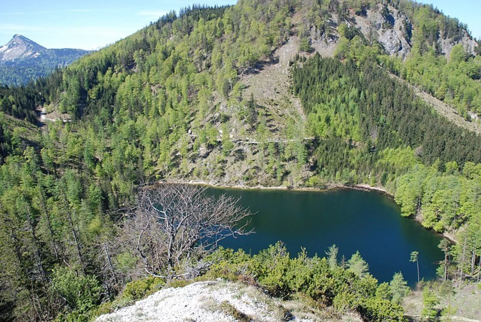 An image depicting the trail Eibensee Lake Hike and its surrounding area.