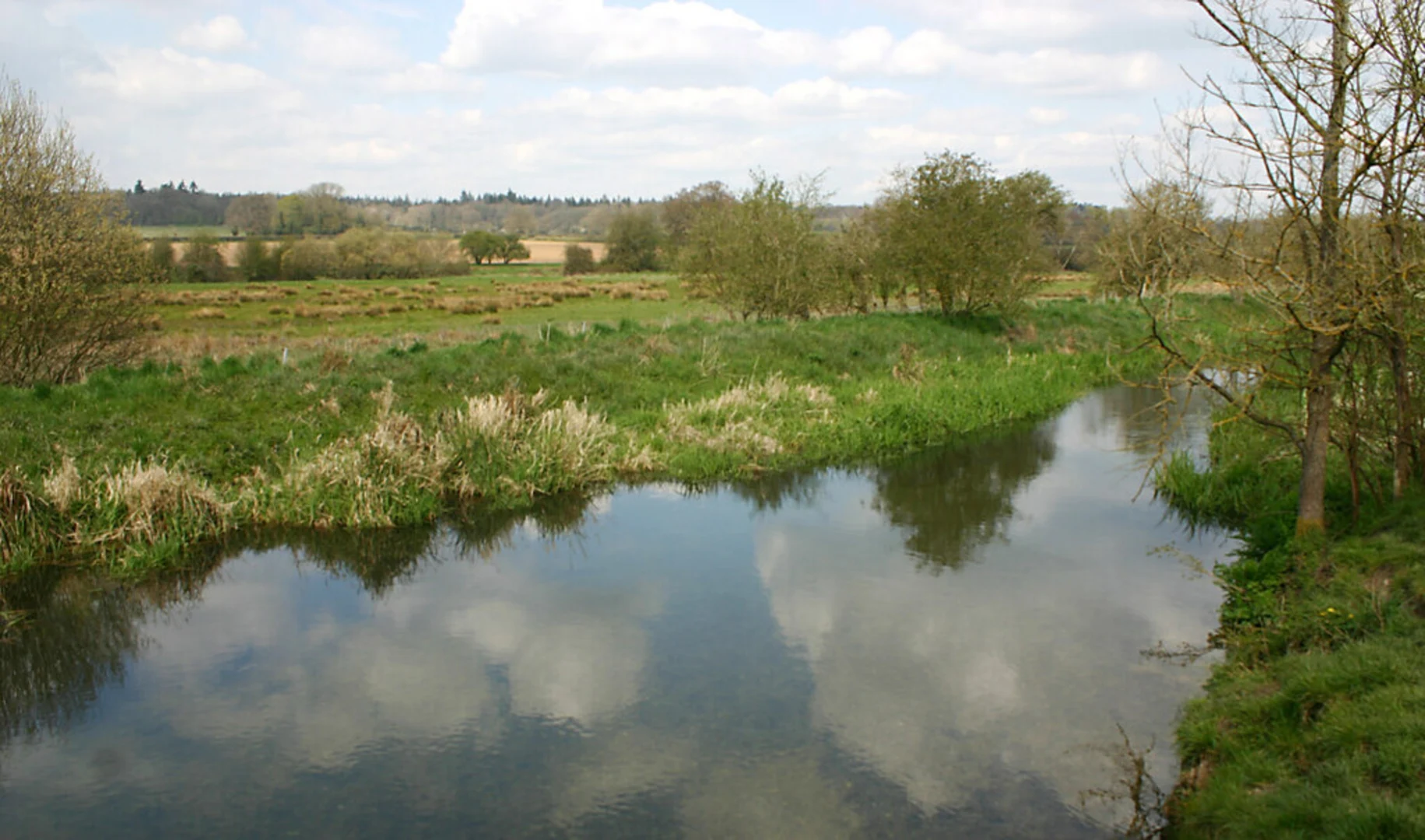 An image depicting the trail River Pang and Herridge's Copse Loop and its surrounding area.