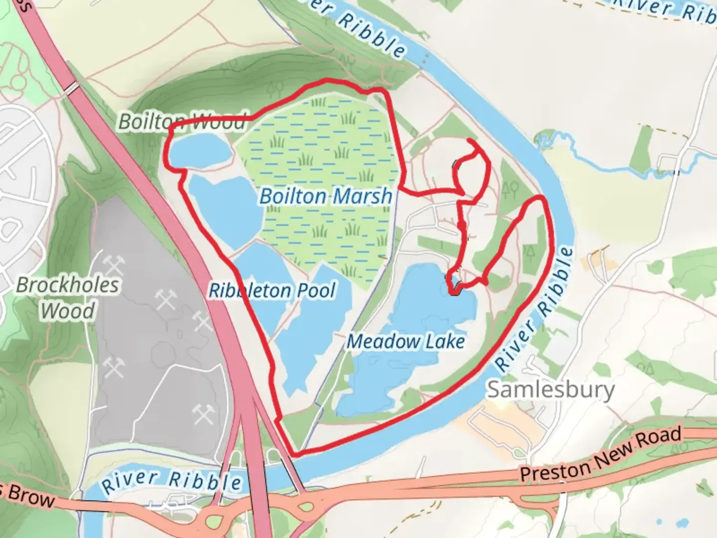 An image depicting the trail Boilton Marsh Loop and its surrounding area.