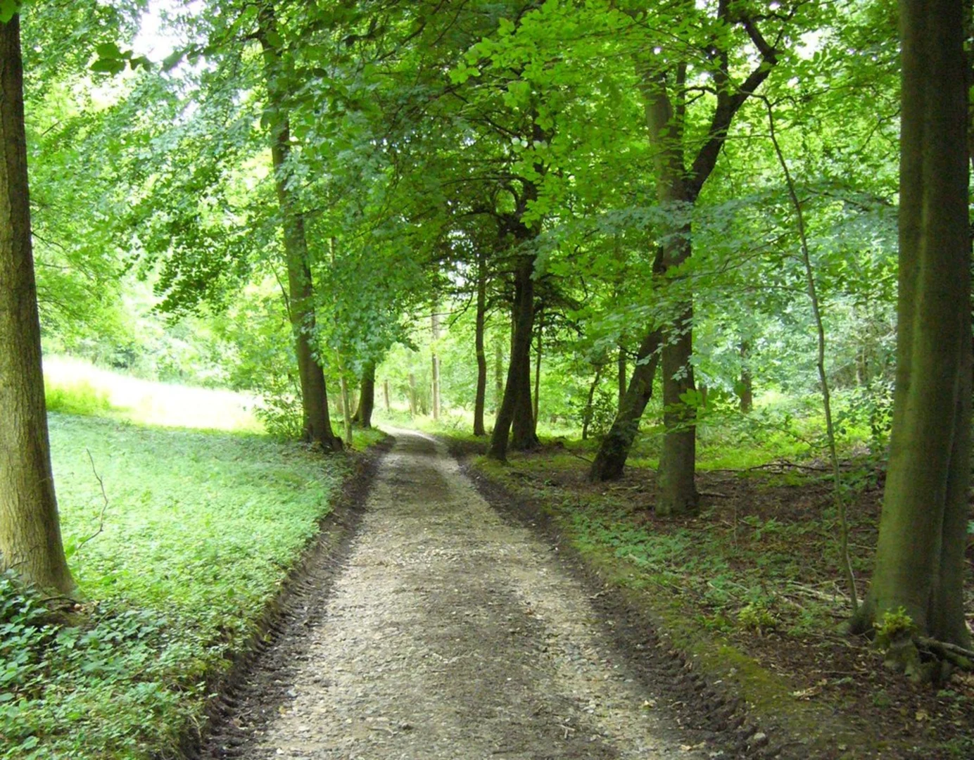 An image depicting the trail Bloom Wood and Warren Wood Loop and its surrounding area.