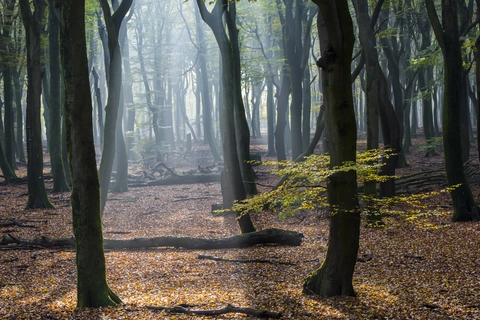 Hendrik Mouwenveld, Het Verscholen Dorp and Zandenbosch Loop