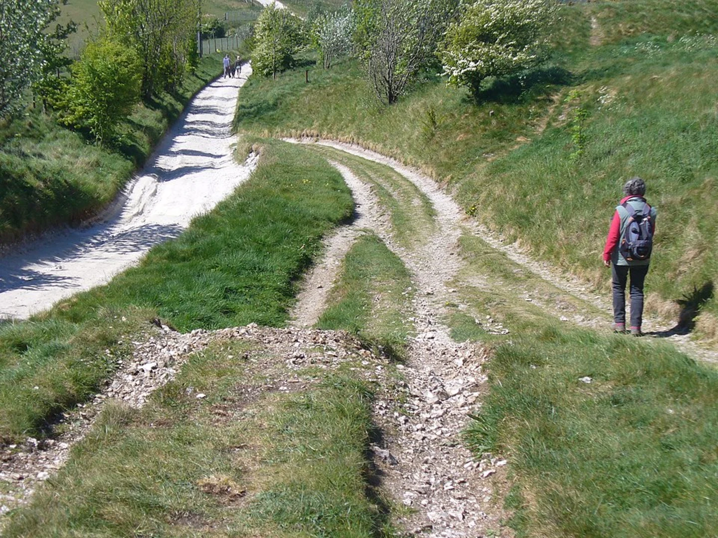 An image depicting the trail Sandpits Down, Linkenholt Hanging and Inkpen Hill Loop and its surrounding area.