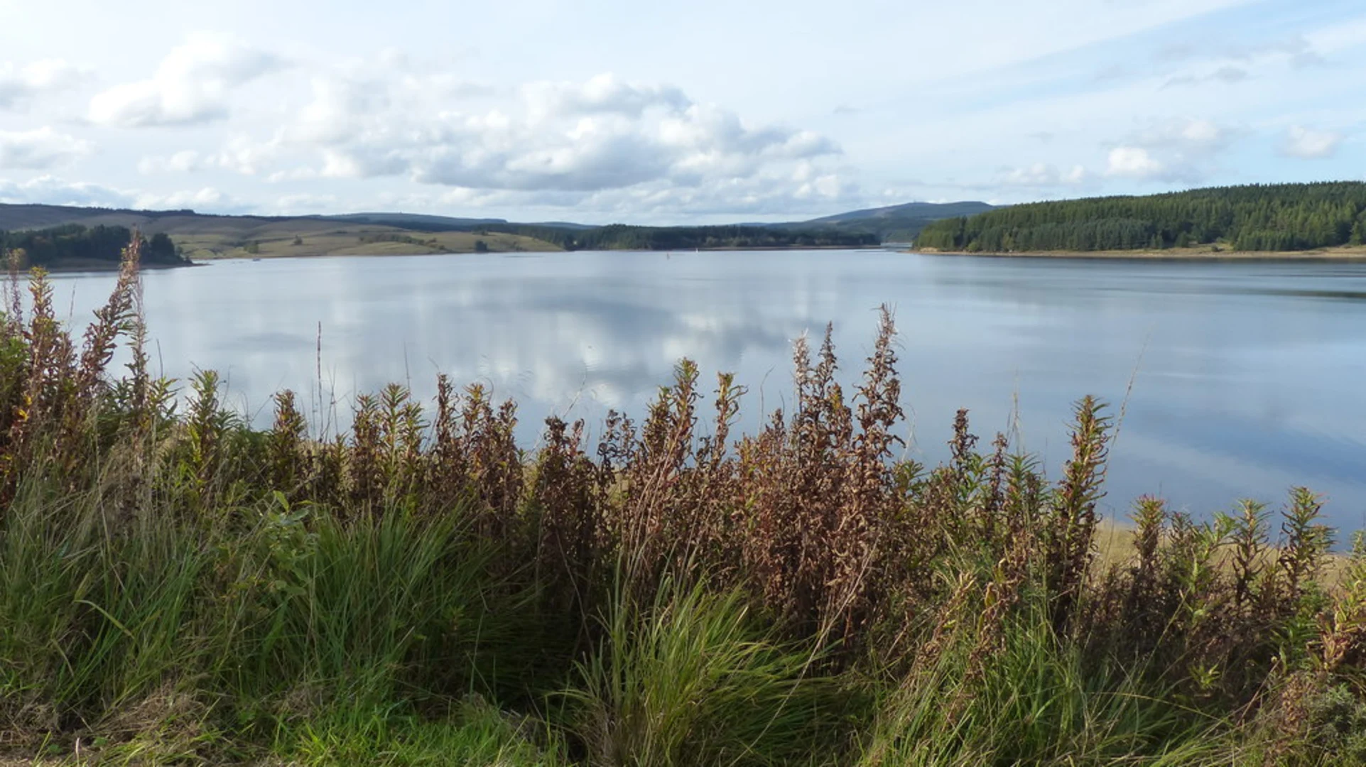An image depicting the trail Leaplish Waterside Park and Bull Crag Peninsula from Hawkhirst South Camp and its surrounding area.
