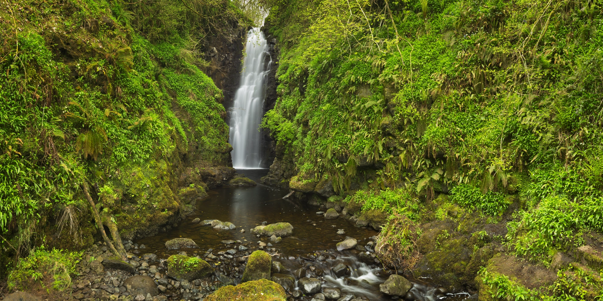 An image depicting the trail Cranny Falls and its surrounding area.