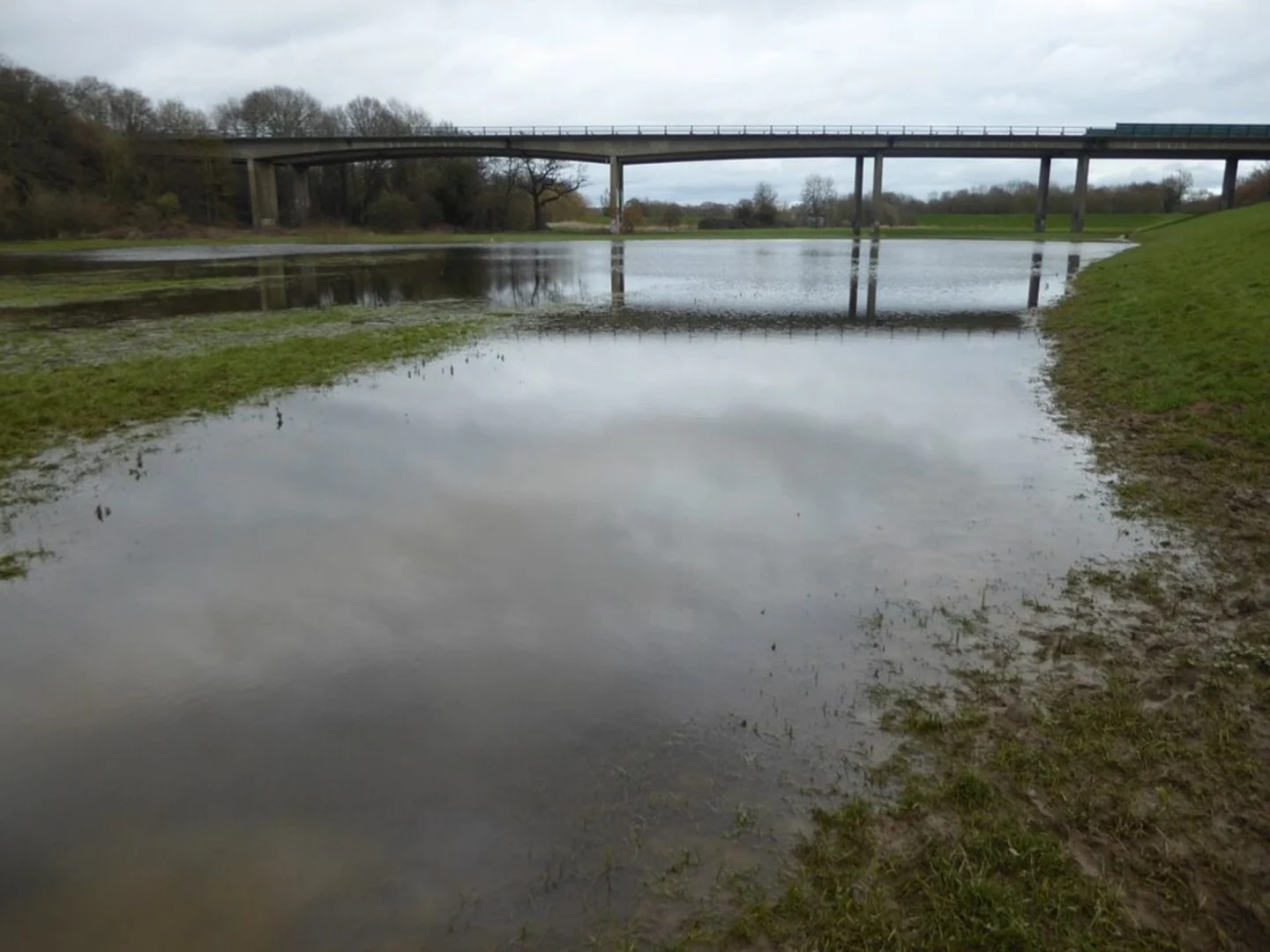 An image depicting the trail Haysden Country Park and its surrounding area.
