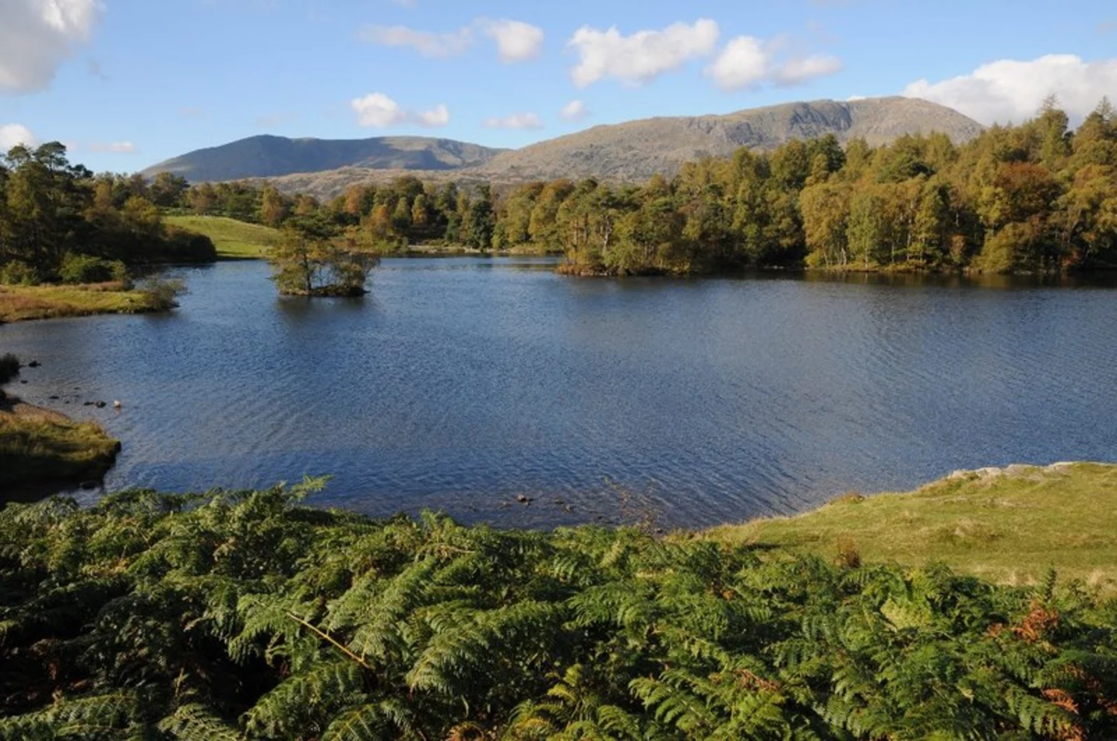 An image depicting the trail Tarn Hows and Tom Heights Loop Walk and its surrounding area.