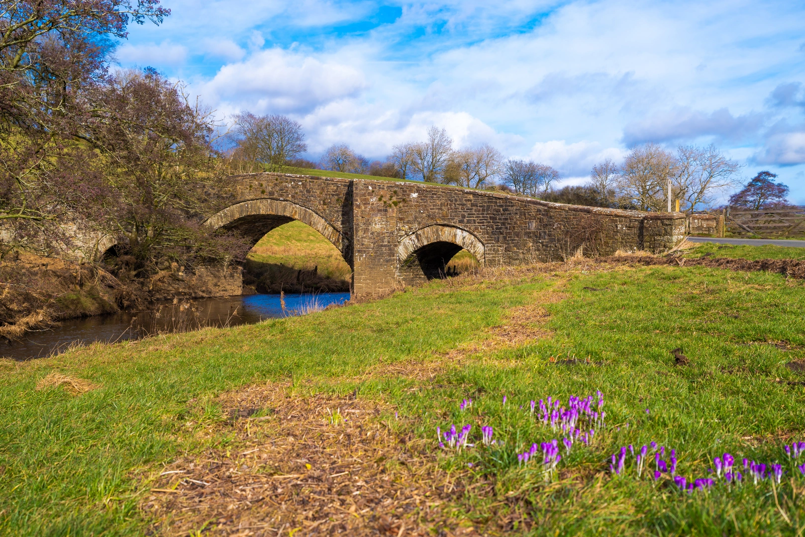 An image depicting the trail Wensleydale Loop from Leyburn and its surrounding area.