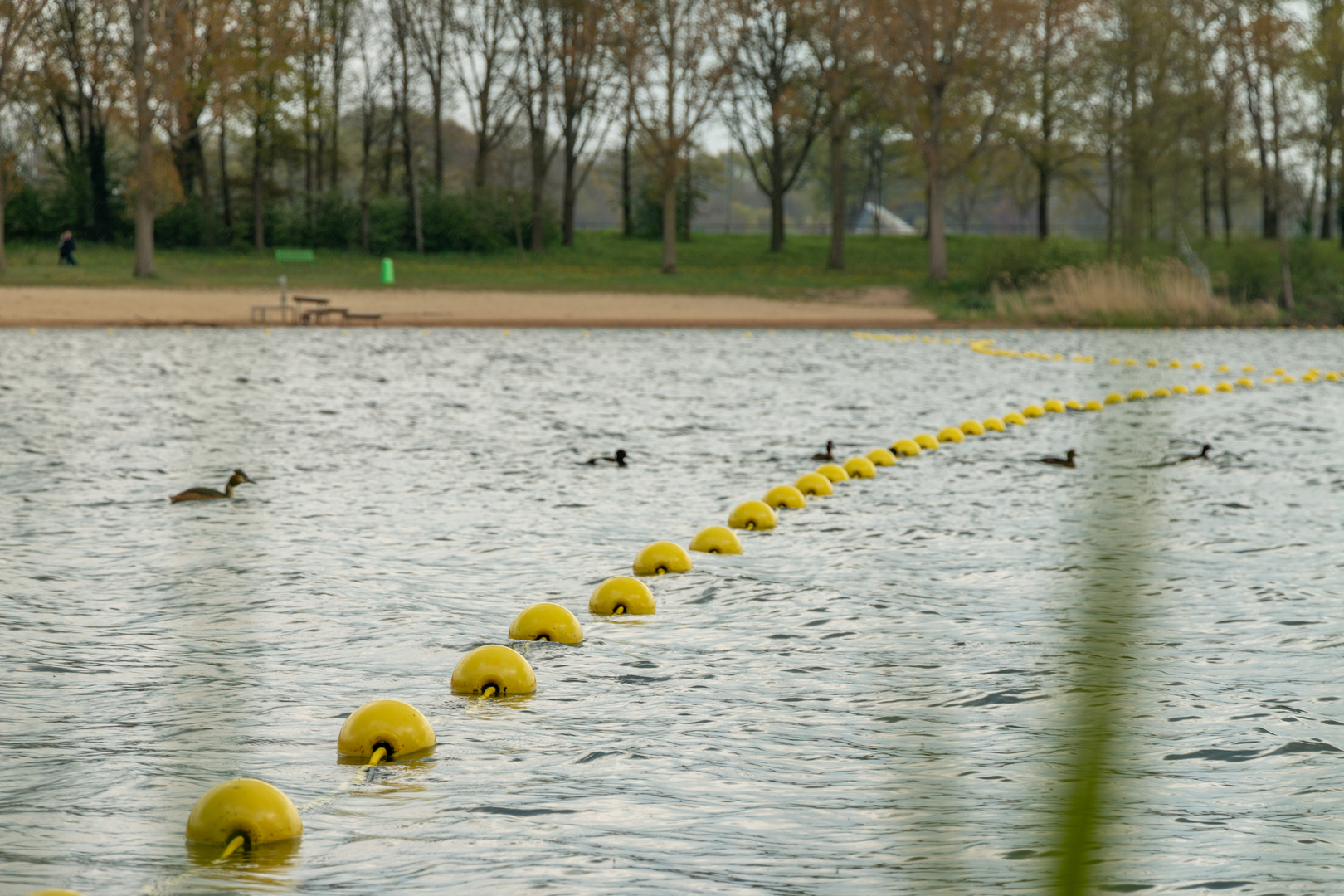 An image depicting the trail Plasmolen to Nergena via Drievijvers and Kroonbeek and its surrounding area.