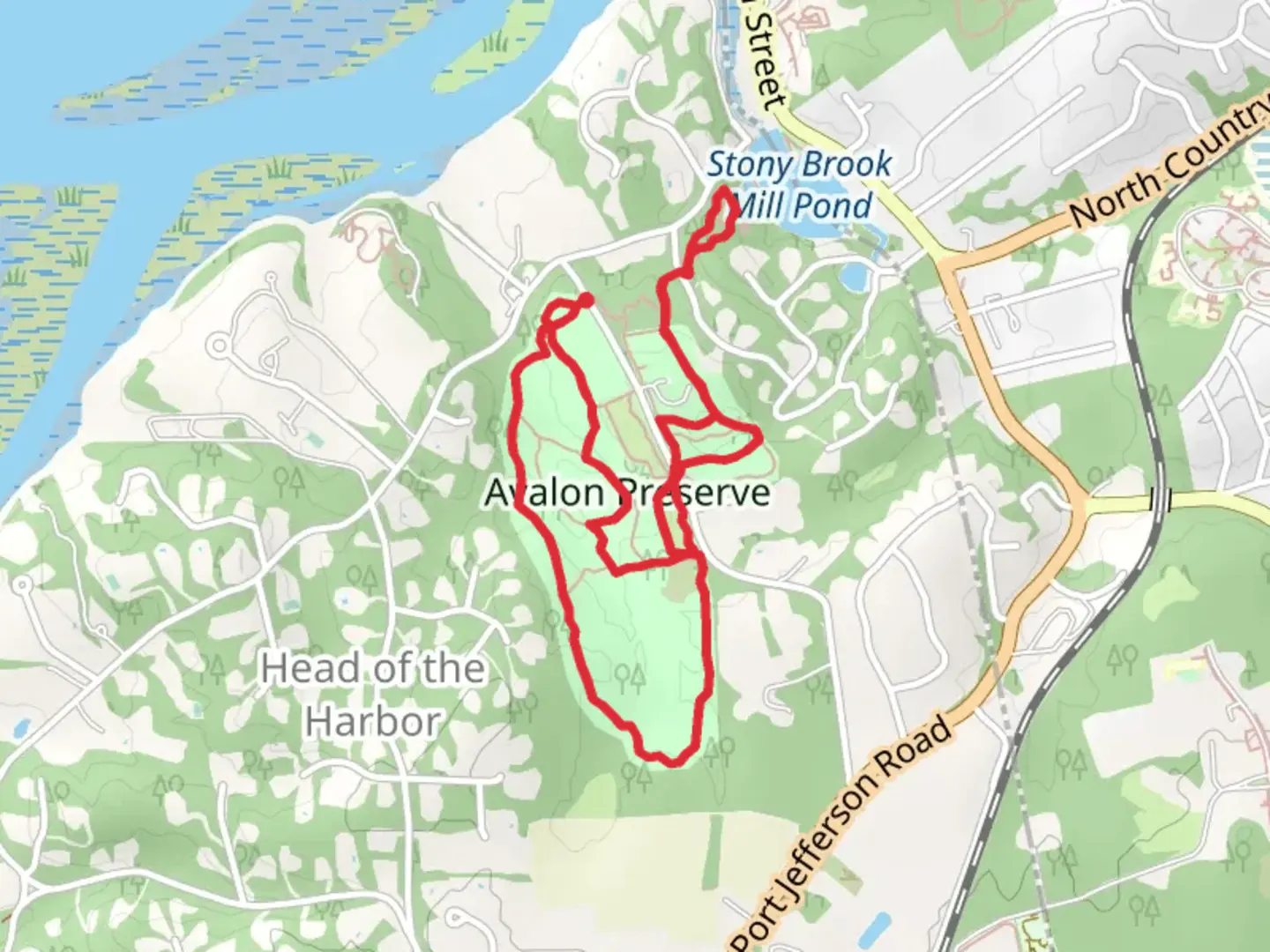An image depicting the trail Avalon Preserve Loop and its surrounding area.