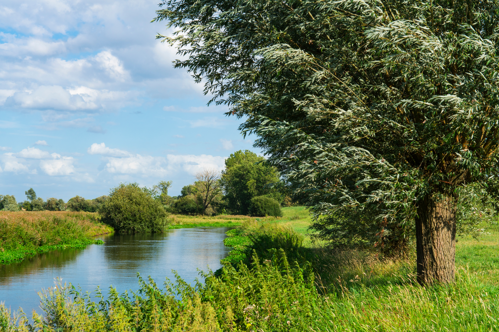 An image depicting the trail Heumensoord, Ossenbroek, Reichswald and Sterrenberg Loop and its surrounding area.