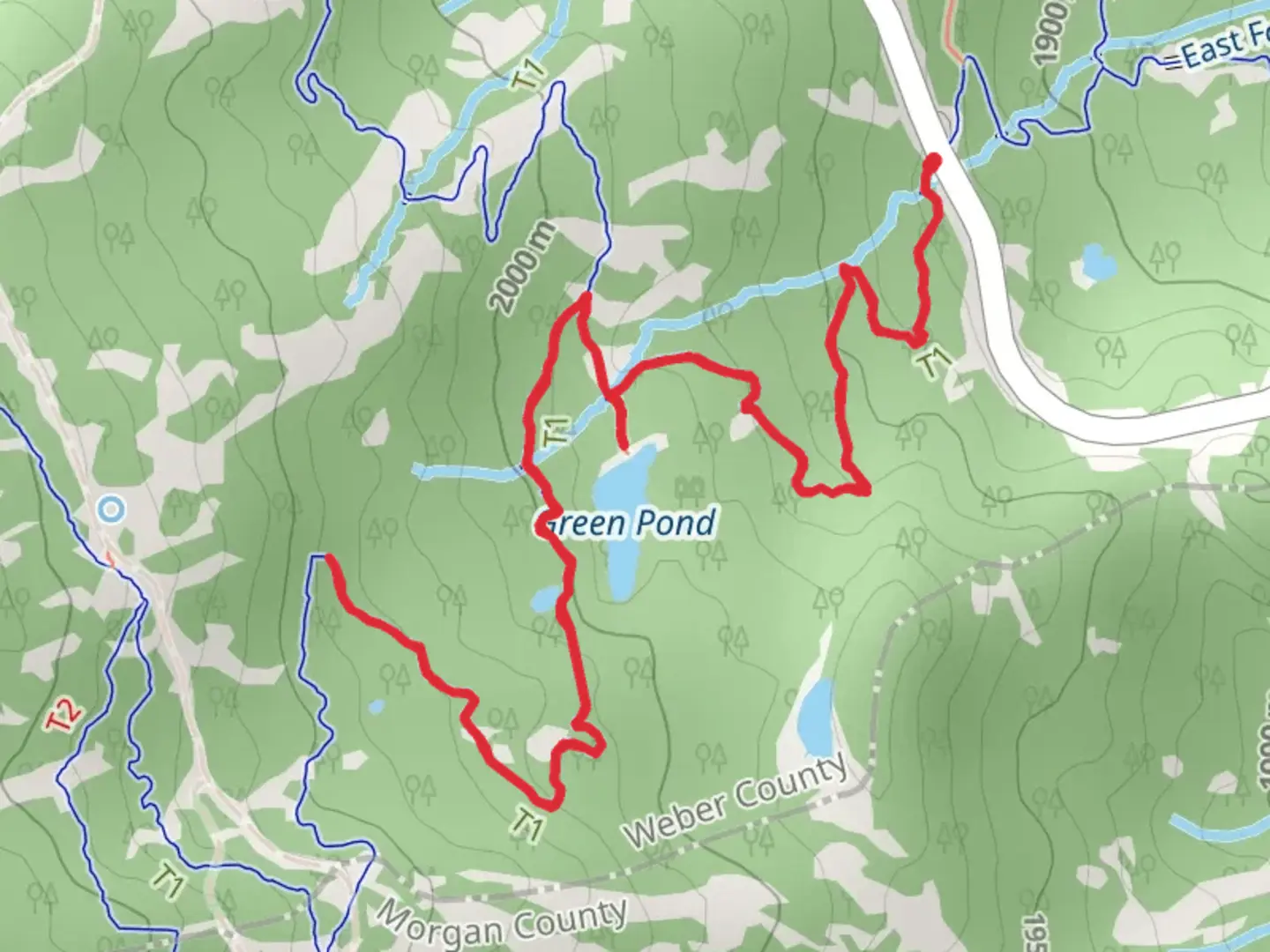 An image depicting the trail Green Pond and its surrounding area.