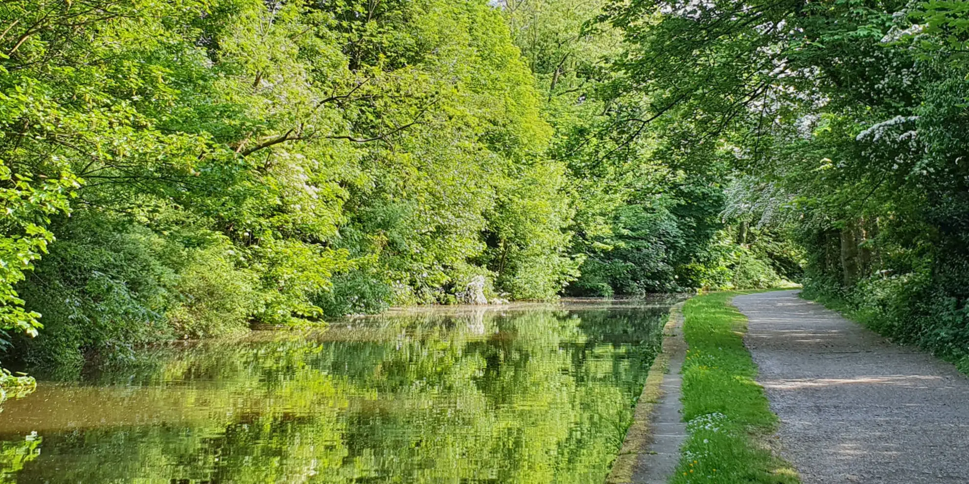 An image depicting the trail Nab Wood - Bingley - Harden Moor - Millennium Way and Cottingley and its surrounding area.