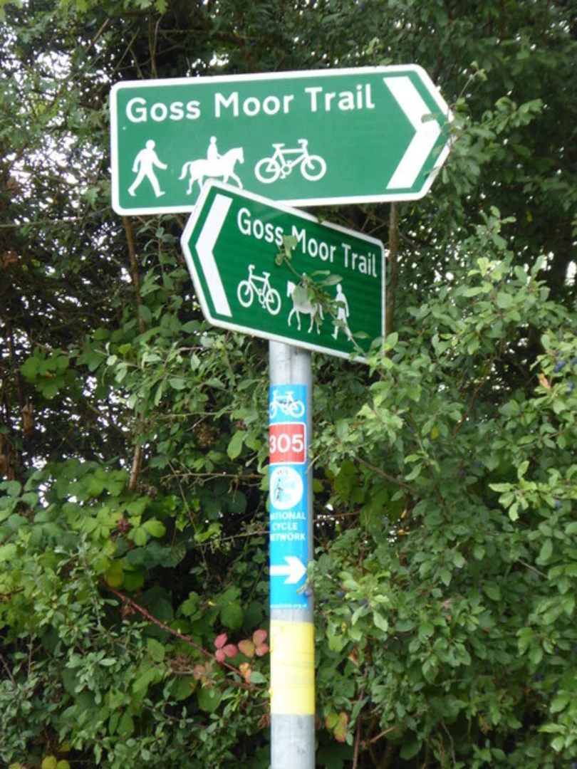 An image depicting the trail Goss Moor Loop Trail and its surrounding area.