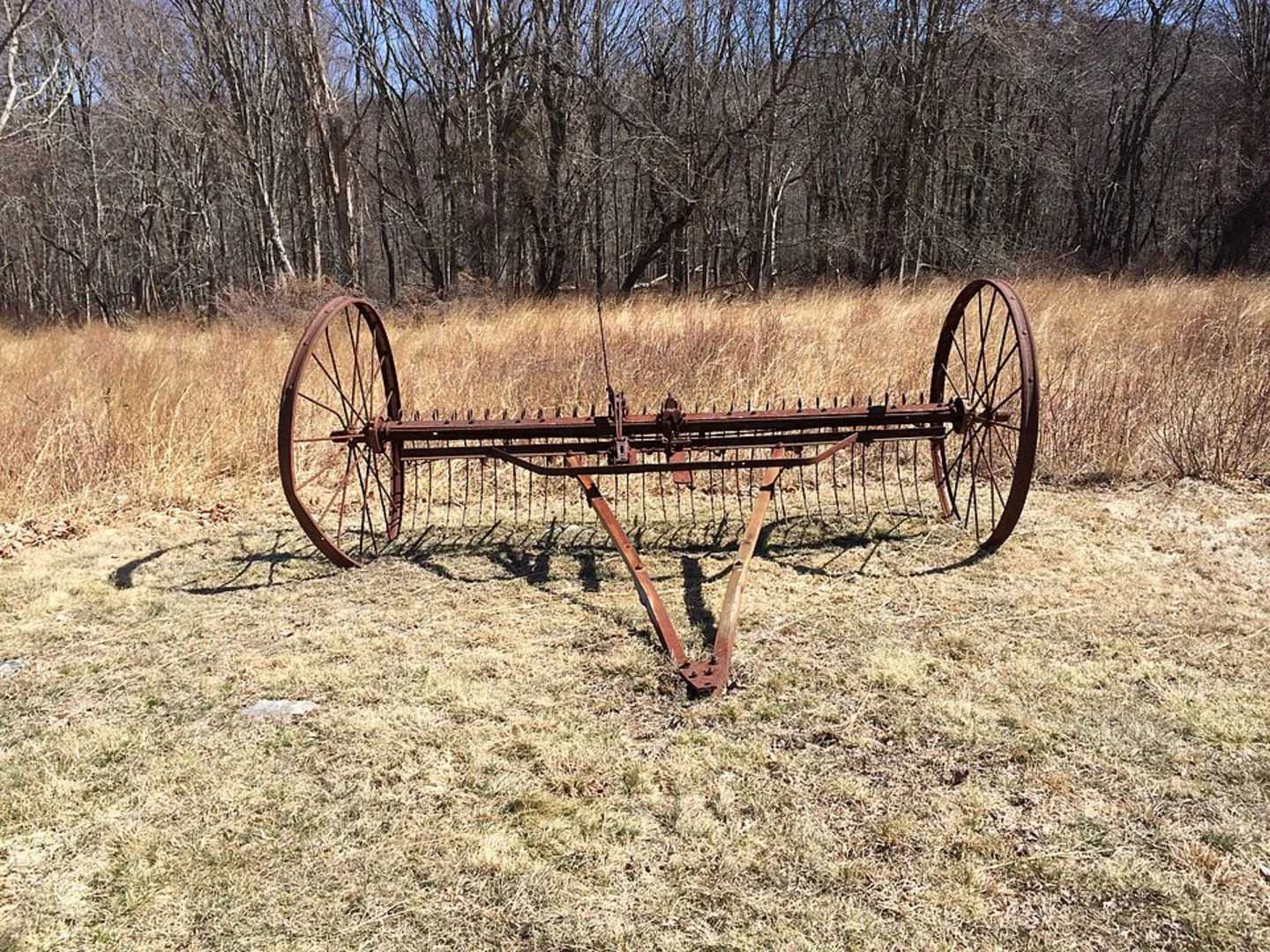 An image depicting the trail Ward Pound Ridge Reservation Loop and its surrounding area.