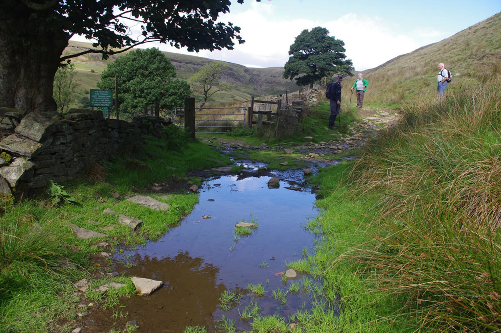 An image depicting the trail Hazelhurst to Hawshaw Loop and its surrounding area.