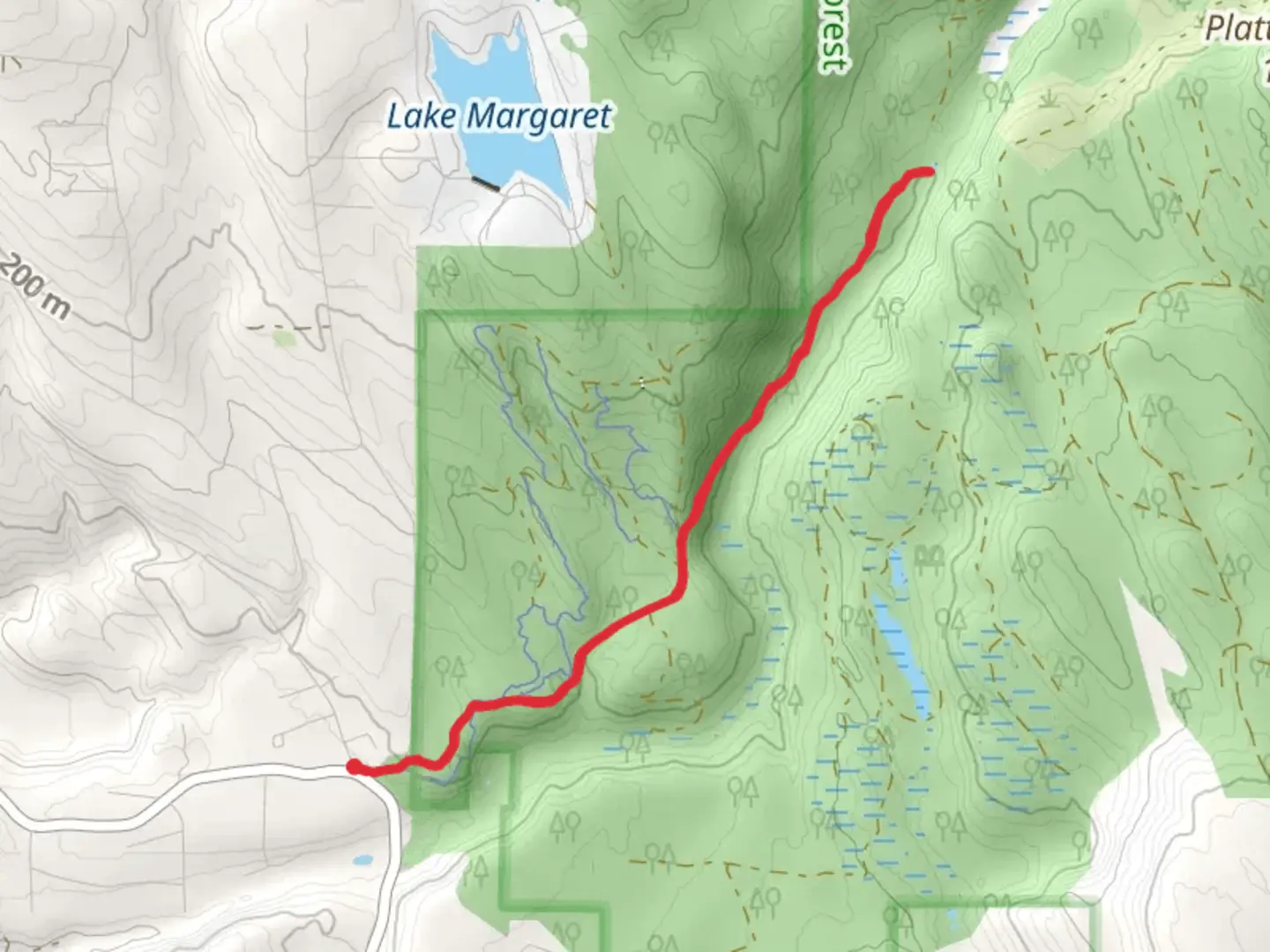 An image depicting the trail Cherry Creek Falls Trail and its surrounding area.