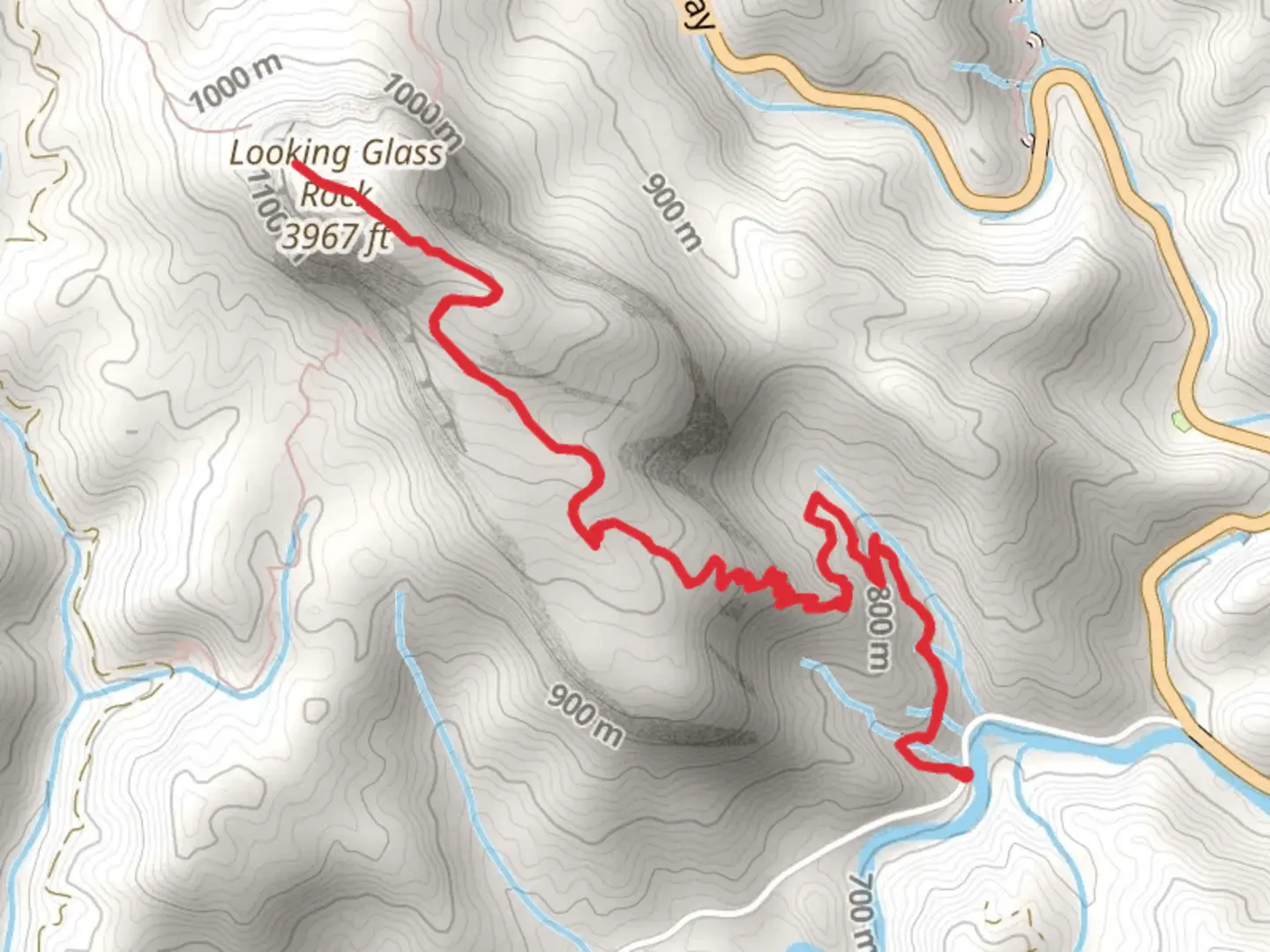 An image depicting the trail Looking Glass Rock and Looking Glass Falls Trail and its surrounding area.