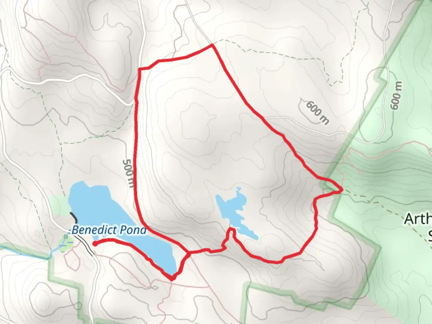 An image depicting the trail Benedict Pond and Mount Wilcox Road Loop Trail and its surrounding area.