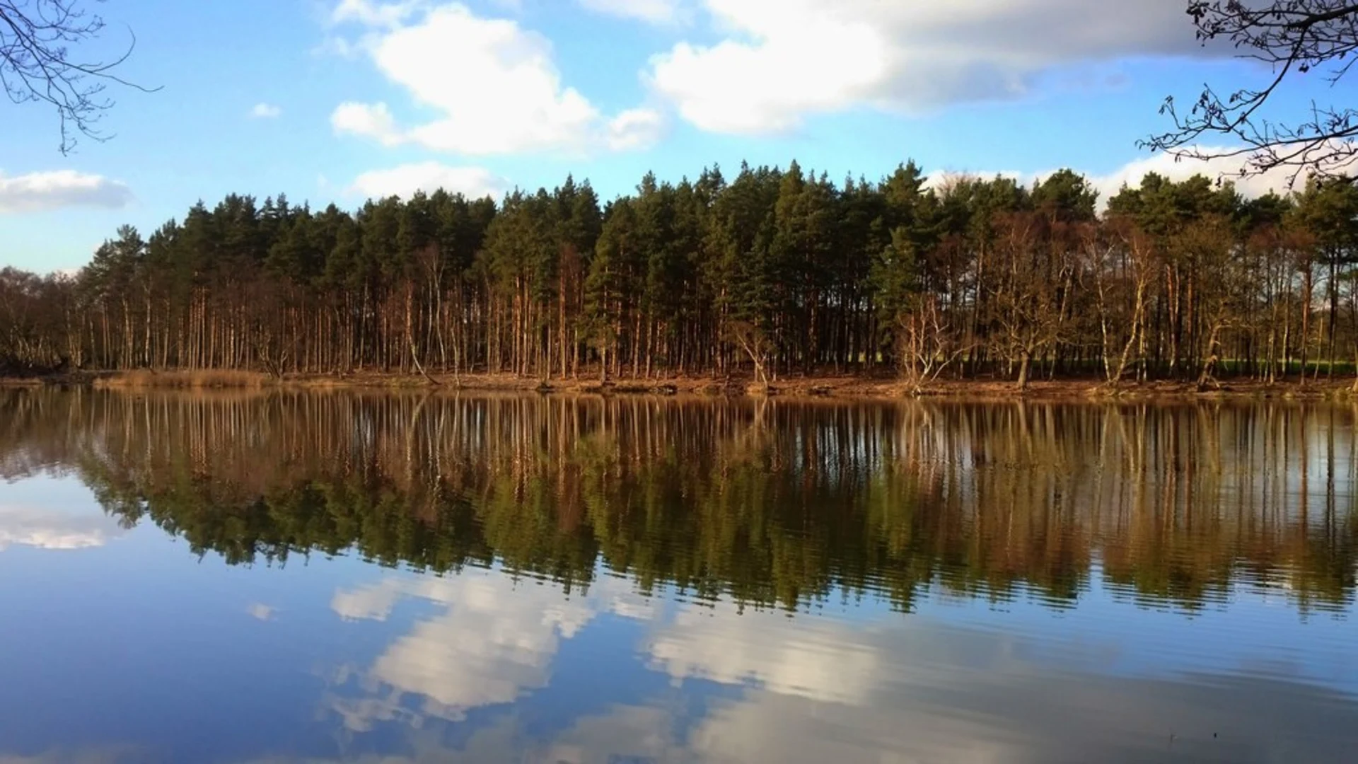 An image depicting the trail Rapley Lake Walk and its surrounding area.
