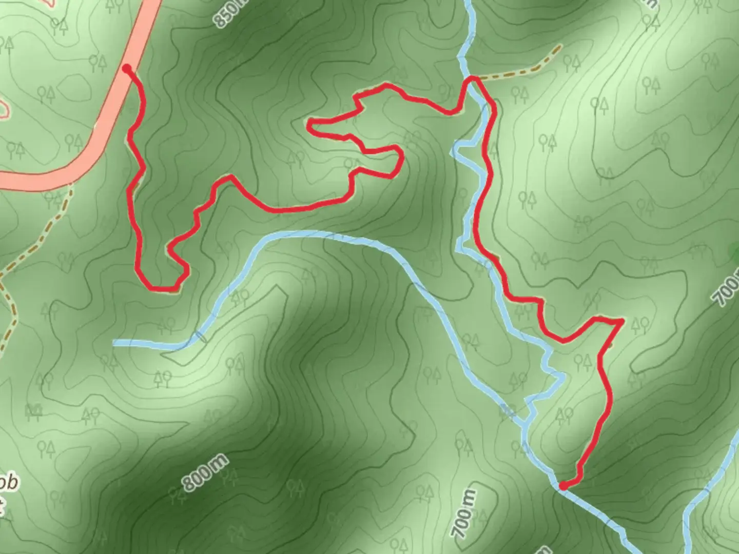 An image depicting the trail Walk along Bee Creek and its surrounding area.