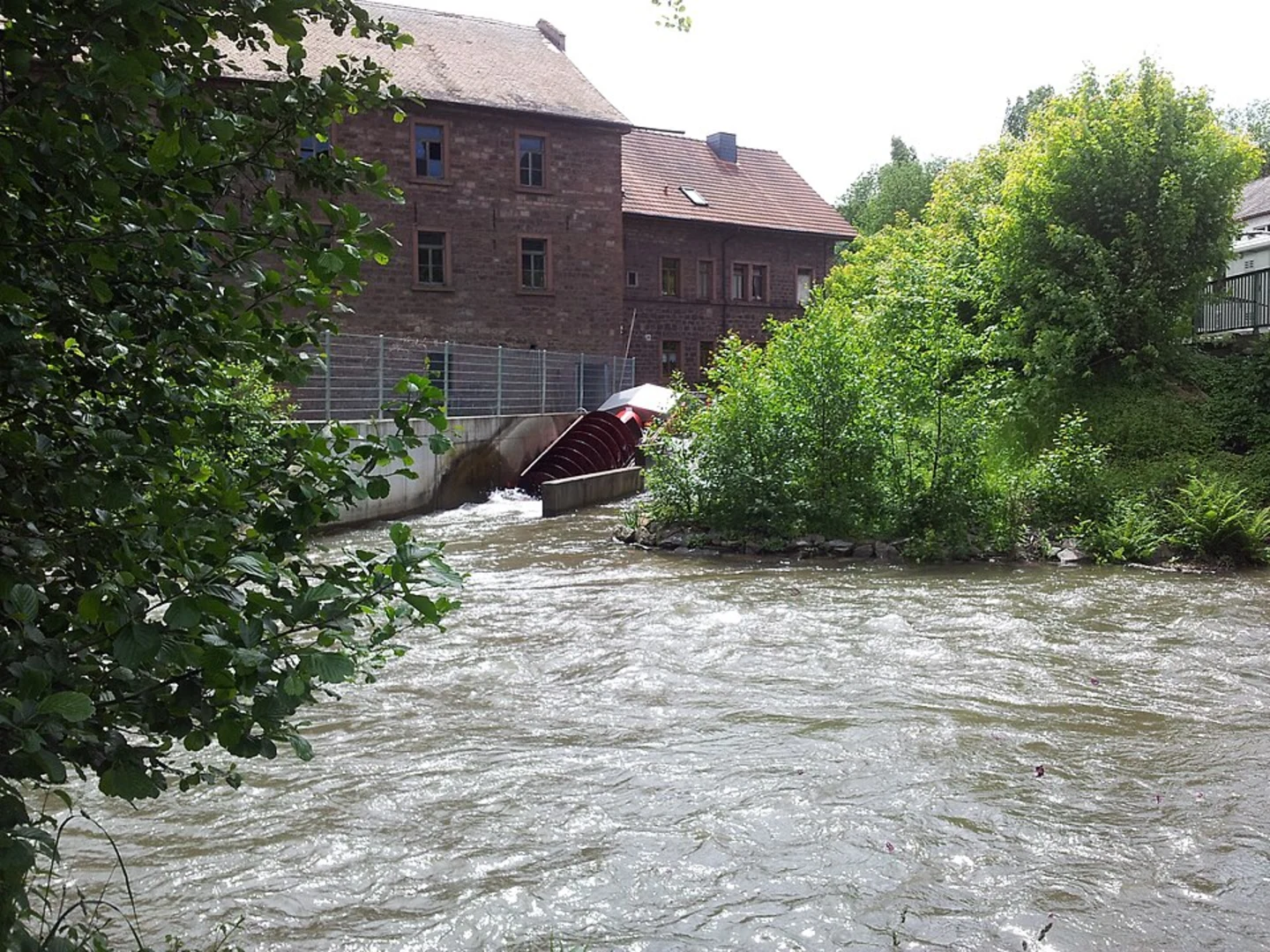 An image depicting the trail Spessartweg 1 and its surrounding area.