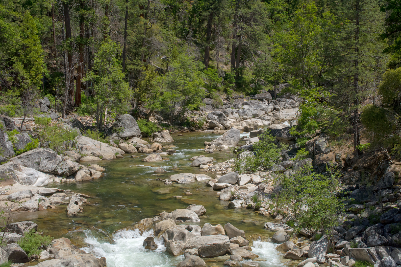 An image depicting the trail Ganns Trail and its surrounding area.