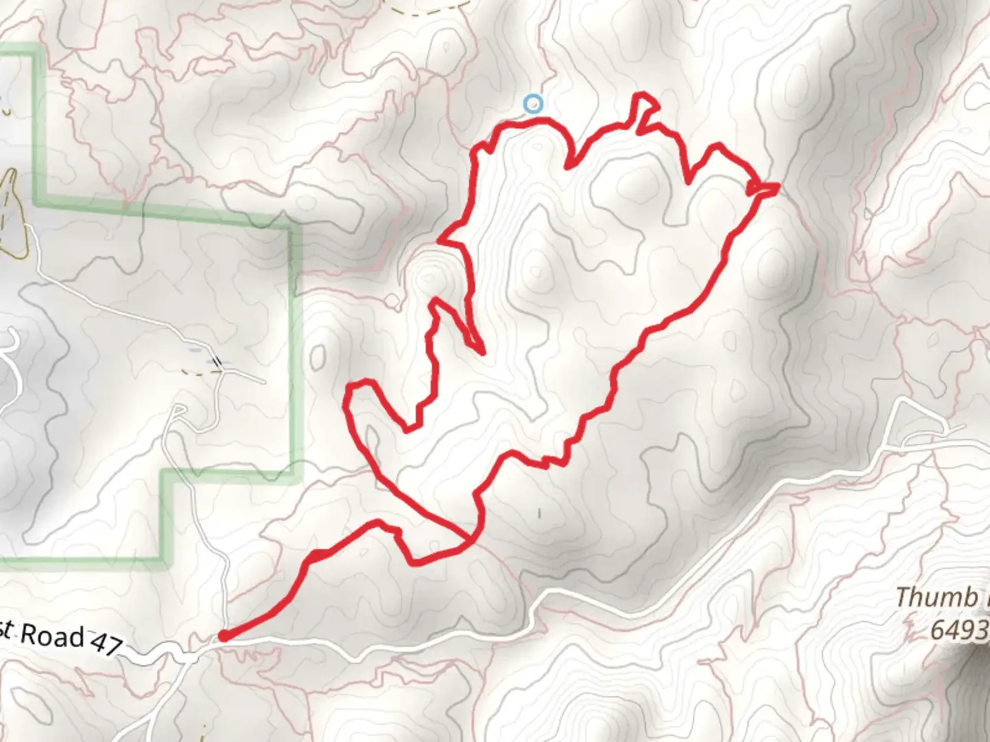 An image depicting the trail Javelina - Firewater - West Loop Trail and its surrounding area.