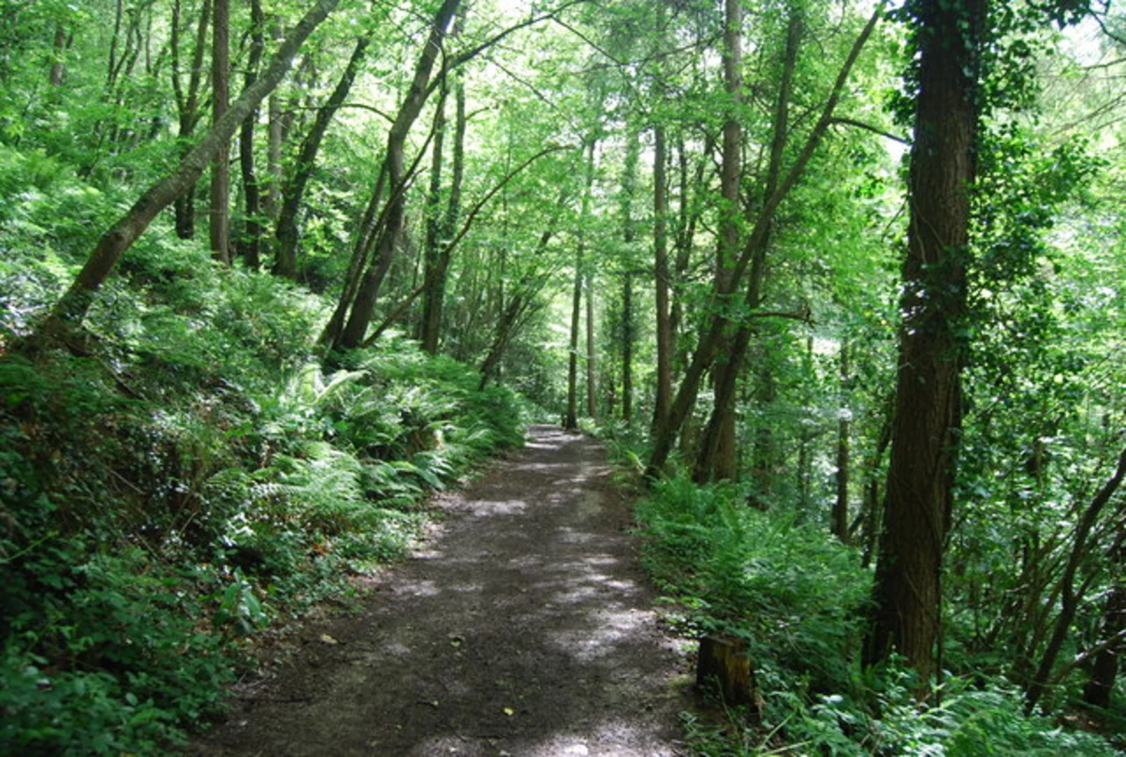 An image depicting the trail Greenway Halt to Kingswear Walk and its surrounding area.