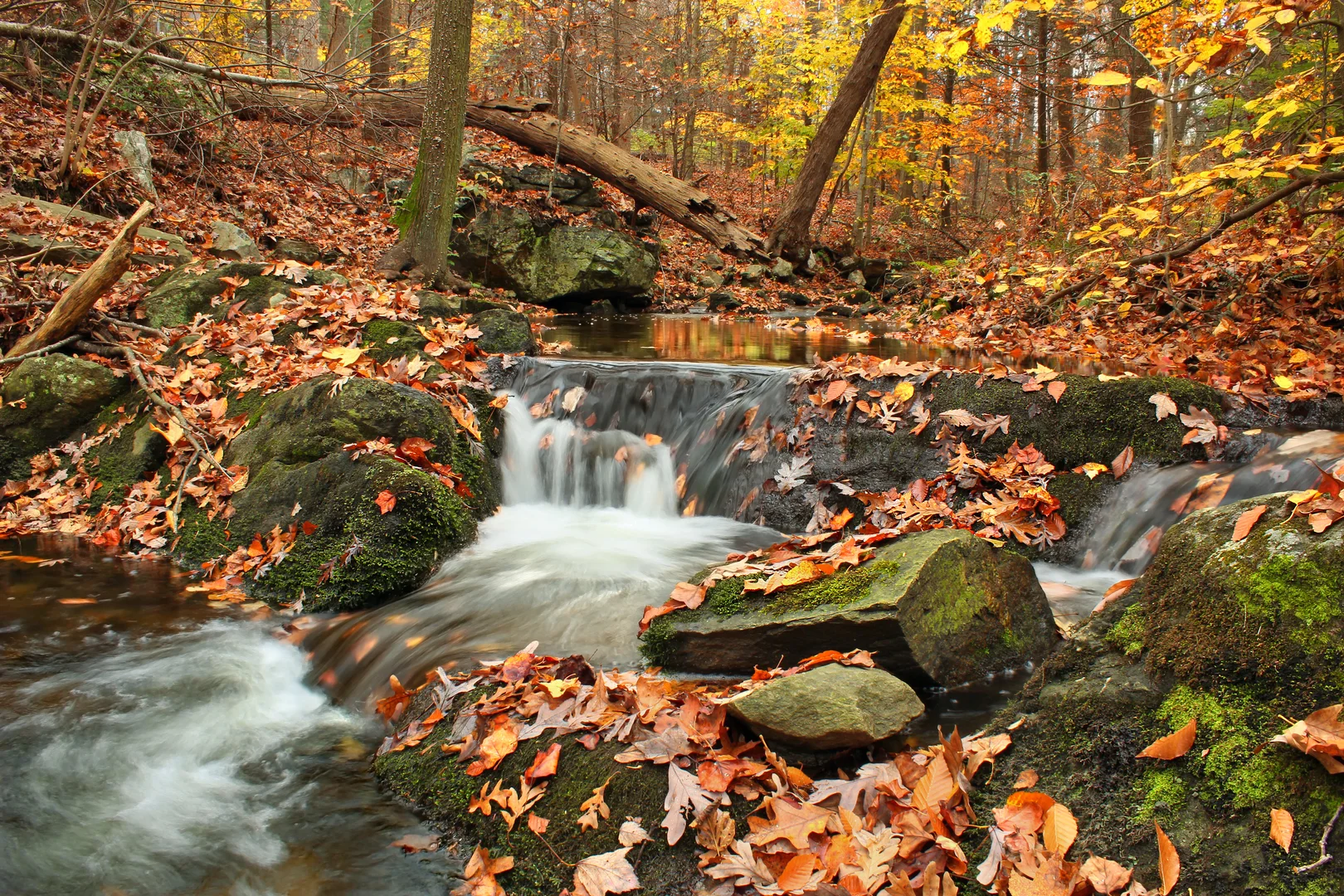 An image depicting the trail Mountain Creek from Pine Grove Road and its surrounding area.