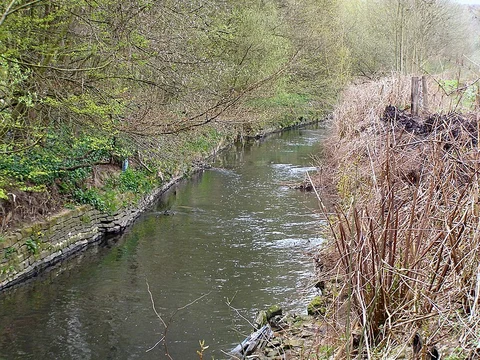 Alkrington Woods Loop