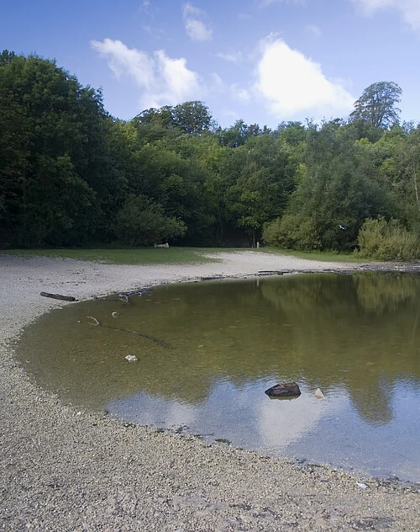 An image depicting the trail Humber Bridge Country Park Loop and its surrounding area.